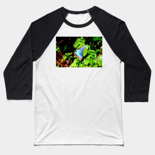 Morphofalter Schmetterling / Swiss Artwork Photography Baseball T-Shirt